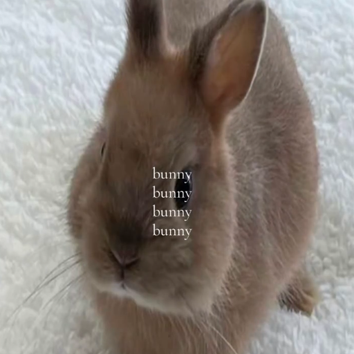 Bunni
