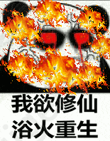 重生🔥
