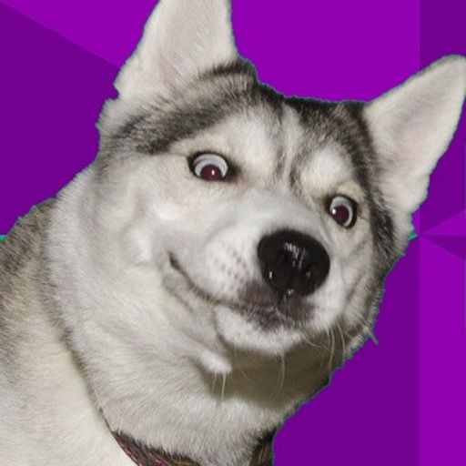 The Moon Doge