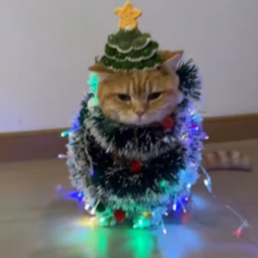 Catmas