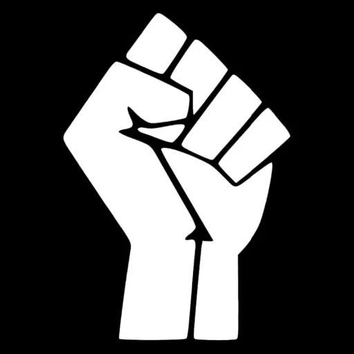 White Lives Matter
