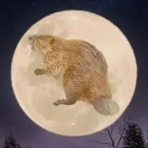 BEAVERMOON