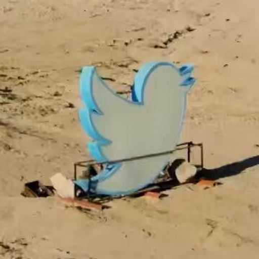 justice for Larry the Bird