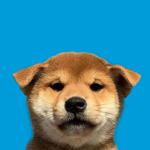 profile picture dog