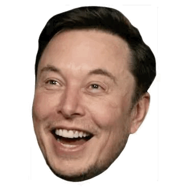 Elon Troll Face