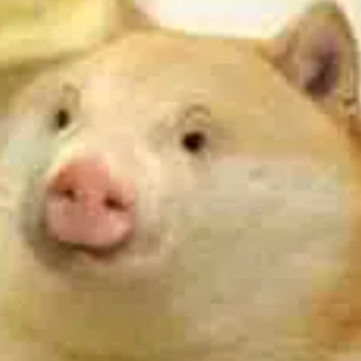 Pogecoin