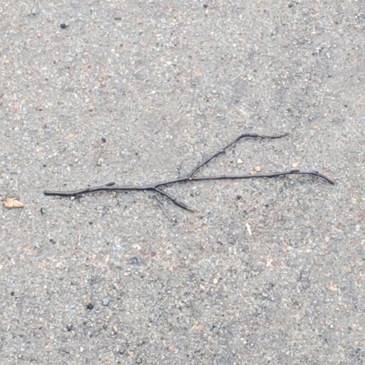 random stick