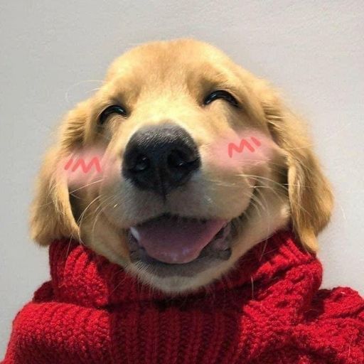 wufwufwufwufwufwufwufwuf
