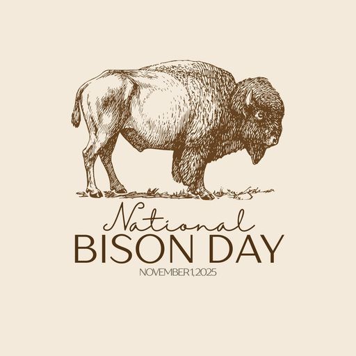 bison