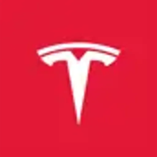 TESLA AI
