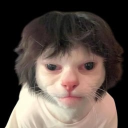 Smokey The Cat