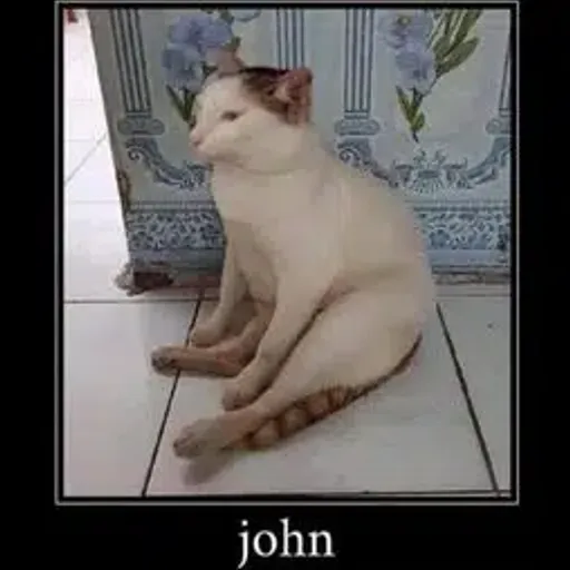 JOHN