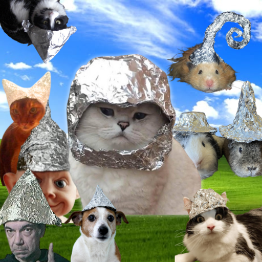 Tin Foil Hat Cult