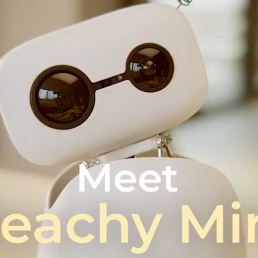 Reachy Mini