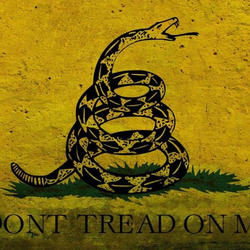 DONT TREAD ON ME