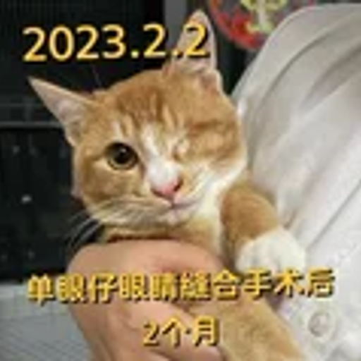 单眼仔伊丽莎白